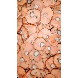 Níscalo de Soria (Lactarius deliciosus) 1 Kg. Setas frescas.