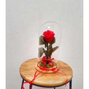 rosa preservada roja en cúpula