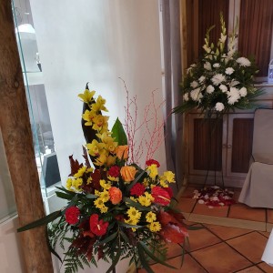 Centro