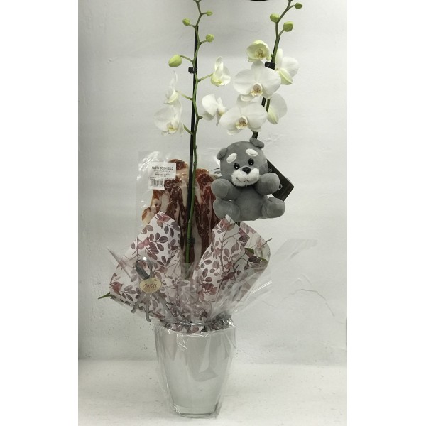 orquídea maternidad