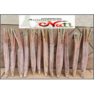 3 Cardo rojo de Ágreda ( 3 uds.)