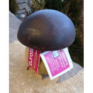 MOUSSE AMANITA CAESAREA ELFOS GOURMET*