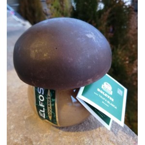 MOUSSE DE BOLETUS CON TRUFA BLANCA ELFOS GOURMET*