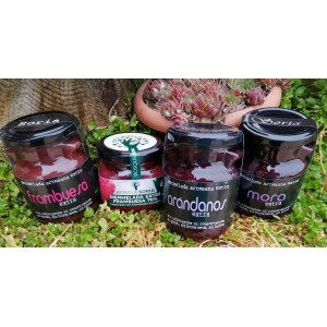 LOTE MERMELADAS FRUTOS ROJOS
