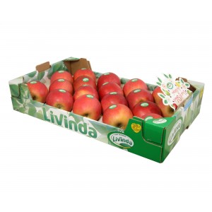 MANZANAS DE SORIA: Caja de Manzanas DE 18 UNIDADES Variedad FUJI de Soria 4,5Kg aprox