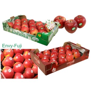 MANZANAS DE SORIA: 2 Cajas de 18 uds. variedades ENVY(PATENTADA) y FUJI. Peso aprox. 9 kg