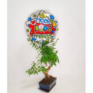 Bonsai con globo