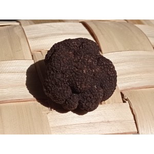 Trufa negra de Soria (Tuber melanosporum) Seta fresca.60g