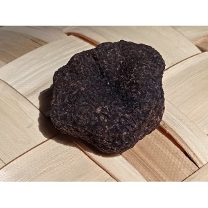 Trufa negra de Soria (Tuber melanosporum) Seta fresca. 35g
