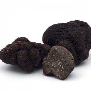 Trufa Negra Fresca (Tuber Melanosporum) PRIMERA 100GRS